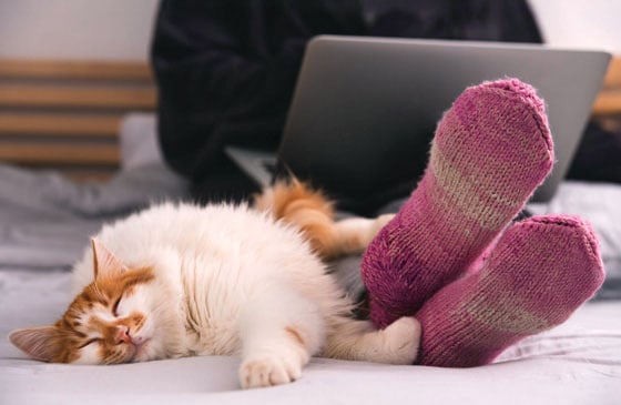 Woman sitting on her computer with her cat.