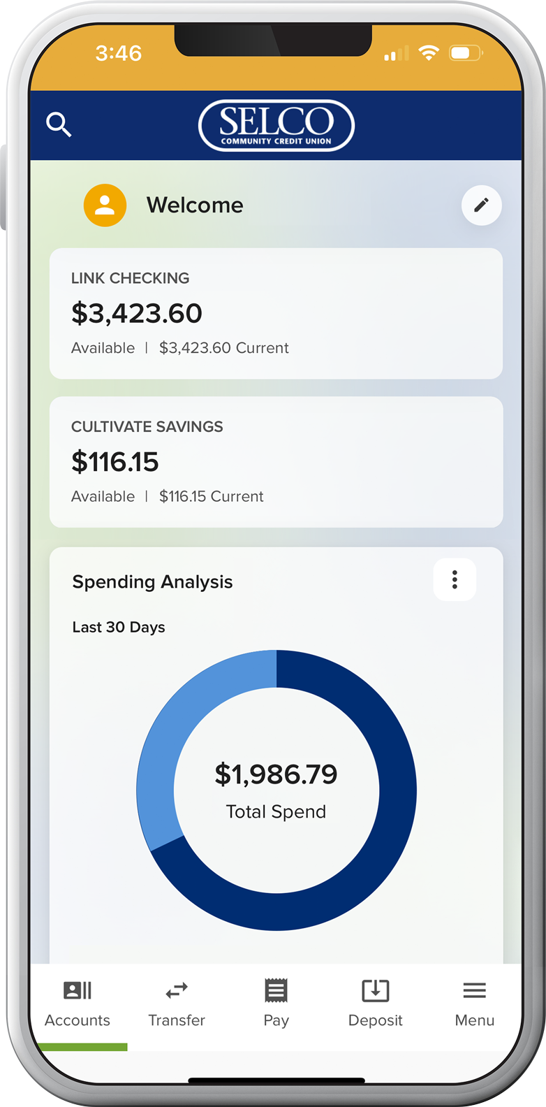 Checking account spending analysis tool