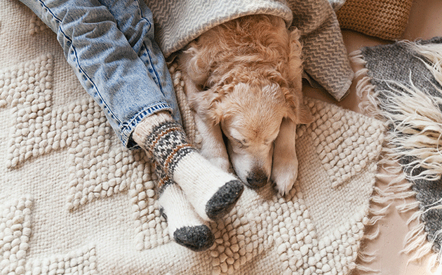 Woman and dog lying on the floor