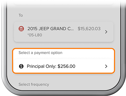 Selecting loan payment type on SELCO app