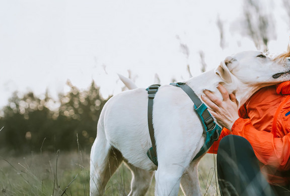 Woman sitting on the grass holding her dog smiling.