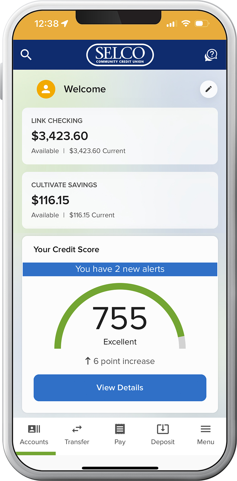 View credit score in credit union digital banking tool