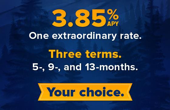 One extraordinary rate 3.85% APY, three terms 5-, 9-, and 13-months. 