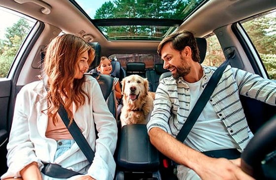 Man and woman sitting in a car going on a road trip with their dog.