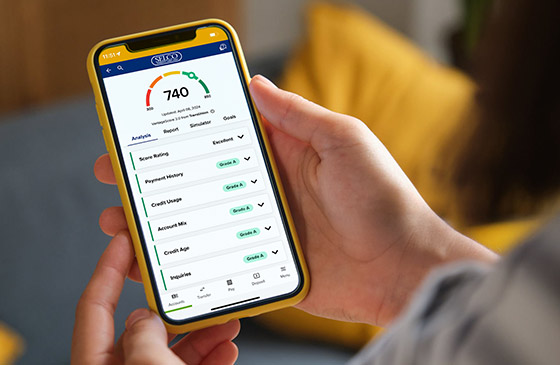 SELCO mobile app showing credit score monitoring. 