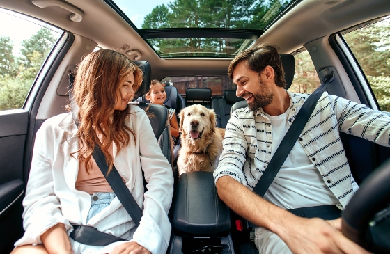 Mother and father toddler and dog in their car.